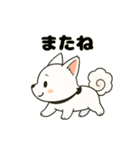 気持ち伝わる！はなまる犬スタンプ（個別スタンプ：6）