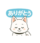 気持ち伝わる！はなまる犬スタンプ（個別スタンプ：9）