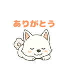 気持ち伝わる！はなまる犬スタンプ（個別スタンプ：11）