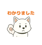 気持ち伝わる！はなまる犬スタンプ（個別スタンプ：13）