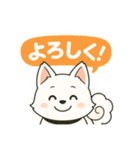 気持ち伝わる！はなまる犬スタンプ（個別スタンプ：19）