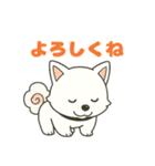 気持ち伝わる！はなまる犬スタンプ（個別スタンプ：20）