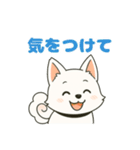 気持ち伝わる！はなまる犬スタンプ（個別スタンプ：22）