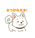 気持ち伝わる！はなまる犬スタンプ（個別スタンプ：24）