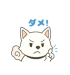 気持ち伝わる！はなまる犬スタンプ（個別スタンプ：29）