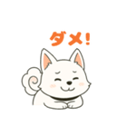 気持ち伝わる！はなまる犬スタンプ（個別スタンプ：30）