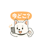 気持ち伝わる！はなまる犬スタンプ（個別スタンプ：34）