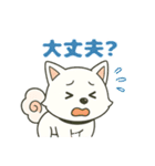 気持ち伝わる！はなまる犬スタンプ（個別スタンプ：37）