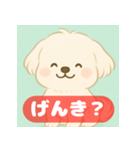 ゆるっとかわいいマルチーズ【ふわふわ犬】（個別スタンプ：2）