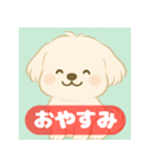 ゆるっとかわいいマルチーズ【ふわふわ犬】（個別スタンプ：3）