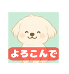 ゆるっとかわいいマルチーズ【ふわふわ犬】（個別スタンプ：5）