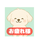 ゆるっとかわいいマルチーズ【ふわふわ犬】（個別スタンプ：6）
