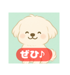 ゆるっとかわいいマルチーズ【ふわふわ犬】（個別スタンプ：8）