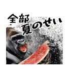 夏ごりら。(夏以外も凄く使える返信超便利)（個別スタンプ：5）