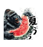夏ごりら。(夏以外も凄く使える返信超便利)（個別スタンプ：8）
