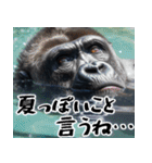 夏ごりら。(夏以外も凄く使える返信超便利)（個別スタンプ：36）