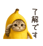 バナナ猫ちゃん（個別スタンプ：1）