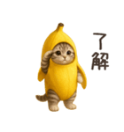 バナナ猫ちゃん（個別スタンプ：2）