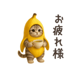 バナナ猫ちゃん（個別スタンプ：4）