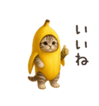 バナナ猫ちゃん（個別スタンプ：6）