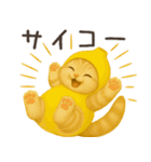 バナナ猫ちゃん（個別スタンプ：8）