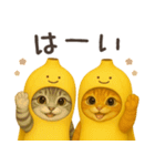 バナナ猫ちゃん（個別スタンプ：9）