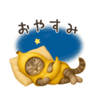 バナナ猫ちゃん（個別スタンプ：12）