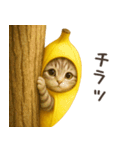 バナナ猫ちゃん（個別スタンプ：15）