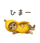 バナナ猫ちゃん（個別スタンプ：17）