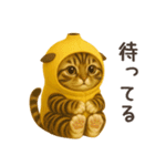 バナナ猫ちゃん（個別スタンプ：19）