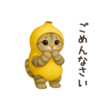 バナナ猫ちゃん（個別スタンプ：20）