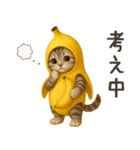 バナナ猫ちゃん（個別スタンプ：21）