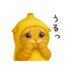 バナナ猫ちゃん（個別スタンプ：24）