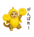 バナナ猫ちゃん（個別スタンプ：25）