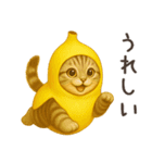 バナナ猫ちゃん（個別スタンプ：26）