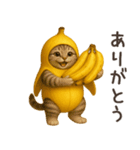 バナナ猫ちゃん（個別スタンプ：29）