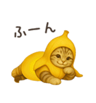 バナナ猫ちゃん（個別スタンプ：31）