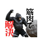 筋トレ報告ゴリラ 2（個別スタンプ：9）