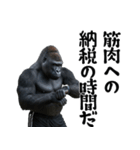 筋トレ報告ゴリラ 2（個別スタンプ：12）