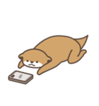かわうそ すたんぷ5【恋人/好きを伝える】（個別スタンプ：25）