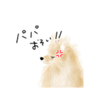 ぽんちゃんのハルハル(お留守番)（個別スタンプ：6）