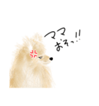 ぽんちゃんのハルハル(お留守番)（個別スタンプ：7）
