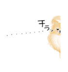 ぽんちゃんのハルハル(お留守番)（個別スタンプ：9）