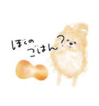 ぽんちゃんのハルハル(お留守番)（個別スタンプ：13）