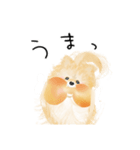 ぽんちゃんのハルハル(お留守番)（個別スタンプ：15）