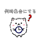 日程調整〜当日集合まで使える！白ポメ♪（個別スタンプ：9）