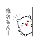 日程調整〜当日集合まで使える！白ポメ♪（個別スタンプ：11）