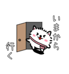 日程調整〜当日集合まで使える！白ポメ♪（個別スタンプ：19）