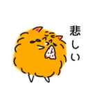 ニコニコポメラニアン（個別スタンプ：21）