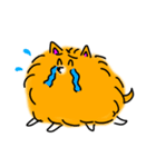ニコニコポメラニアン（個別スタンプ：27）